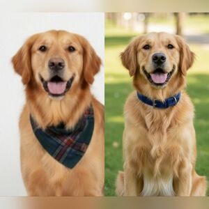 NEW! Southern Living Red Plaid Dog Collar and Leash Sz XS/S